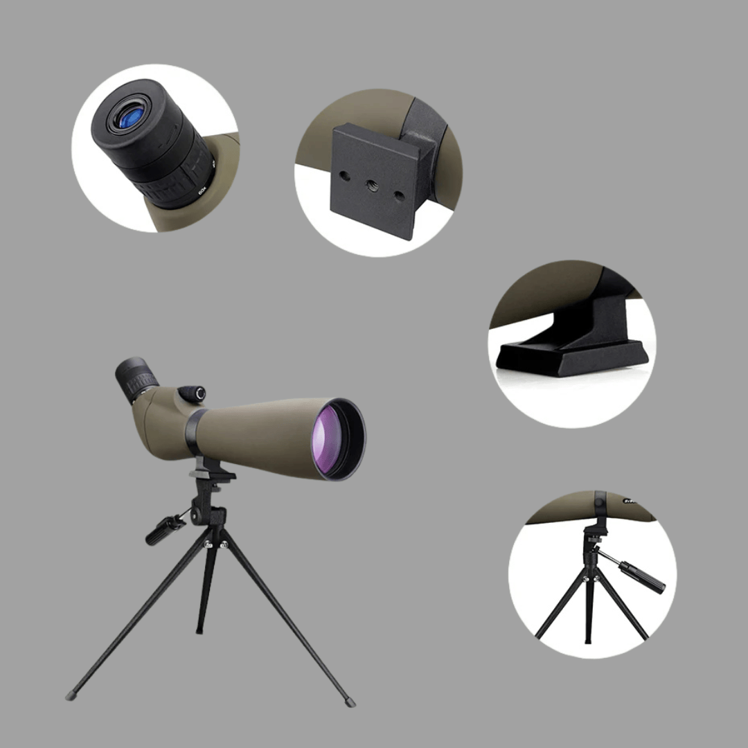 Longue-vue 20–60x | Ornithologie et observation à distance