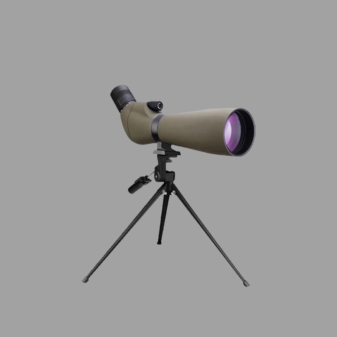 Longue-vue 20–60x | Ornithologie et observation à distance